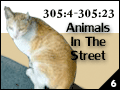 Animals In the Street 305:4-305:23
