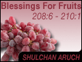 Blessings For Fruits 208:6 - 210:1