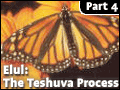 Elul: The Teshuva Process #4