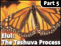 Elul: The Teshuva Process #5