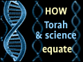 How Torah and Science Equate