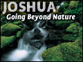 Joshua: Going Beyond Nature