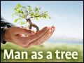 Man As A Tree
