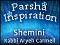 Shemini/Parah: The Higher Point of View