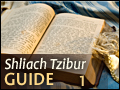 Shliach Tzibur Guide 1