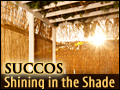 Succos: Shining in the Shade