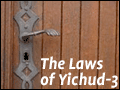 The Laws Of Yichud-3