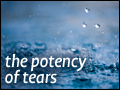 The Potency of Tears