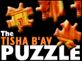 The Tisha B'Av Puzzle