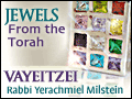 Vayeitzei: Overview