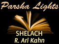 Shelach: A Look at Motivations and Inclinations