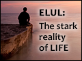 Elul: The Stark Reality of life
