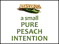 A Small, Pure Pesach Intention	