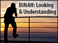 Binah: Looking & Understanding