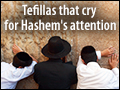 Tefillas That Cry for Hashem's Attention