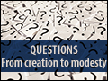 Questions: From Creation to Modesty