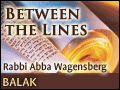 Balak: A Tear of Torah