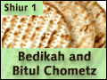 Bedikah and Bitul Chometz