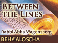 Beha'aloscha: Just One Mitzvah