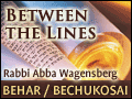 Behar Bechukosai: Log B'Omer Shmitah Bar Yochai
