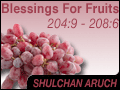 Blessings For Fruits 204:9 - 208:6