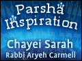 Chayei Sarah: Unity of Life