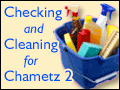 Checking and Cleaning for Chametz 2