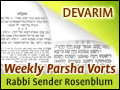 Devarim: The Joy Mourning Jerusalem