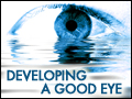 Developing a Good Eye