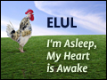 Elul: I'm Asleep, But My Heart is Awake