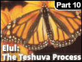 Elul: The Teshuva Process #10