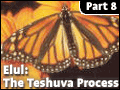 Elul: The Teshuva Process #8