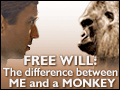 Free Will: The Difference Between Me and a Monkey