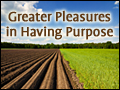 Greater Pleasures in Having Purpose