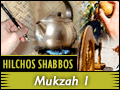Hilchos Shabbos: Mukzah 1