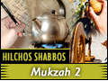 Hilchos Shabbos: Mukzah 2