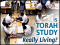 Is Torah Study Really Living?