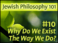 Jewish Philosophy 101: #10 Why Do We Exist the Way We Do?