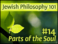 Jewish Philosophy 101: #14 Parts of the Soul