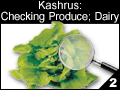 Kashrus: Checking Produce; Dairy