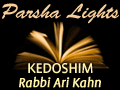 Kedoshim: In Search of Sanctity