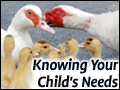 Knowing Your Child's Needs