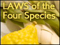 Laws of the Four Species