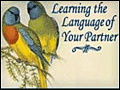 Learning the Language of Your Partner