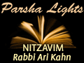 Nitzavim: A Monumental Moment