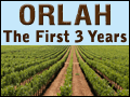 Orlah: The First 3 Years