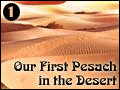 Our First Pesach in the Desert - 1