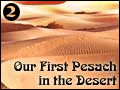 Our First Pesach in the Desert - 2