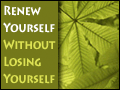 Renew Yourself Without Losing Yourself
