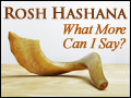 Rosh Hashana: What More Can I Say?